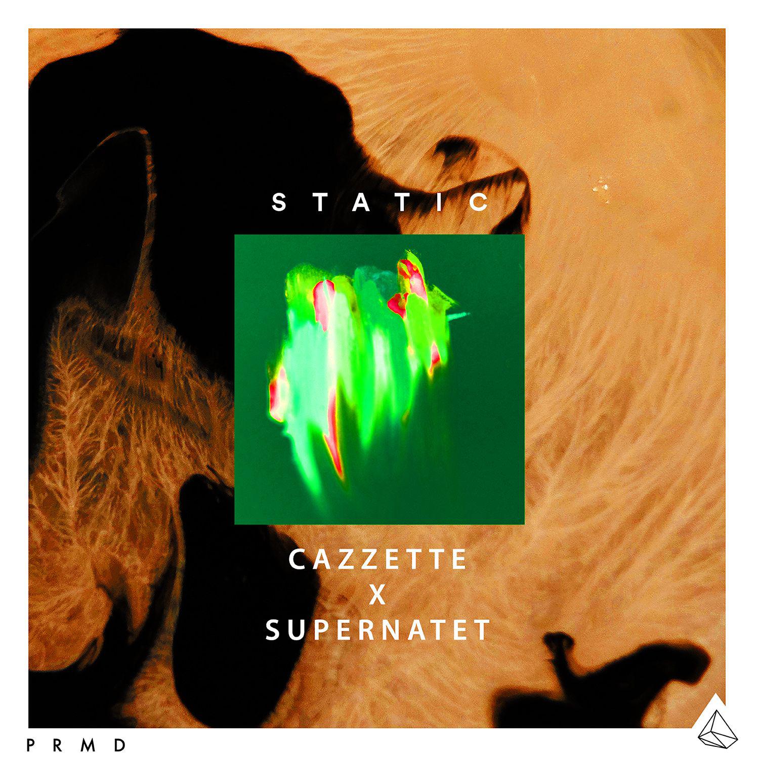 Static (Cazzette x Supernatet Remix)专辑