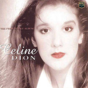 En Amour - Céline Dion (karaoke) 带和声伴奏