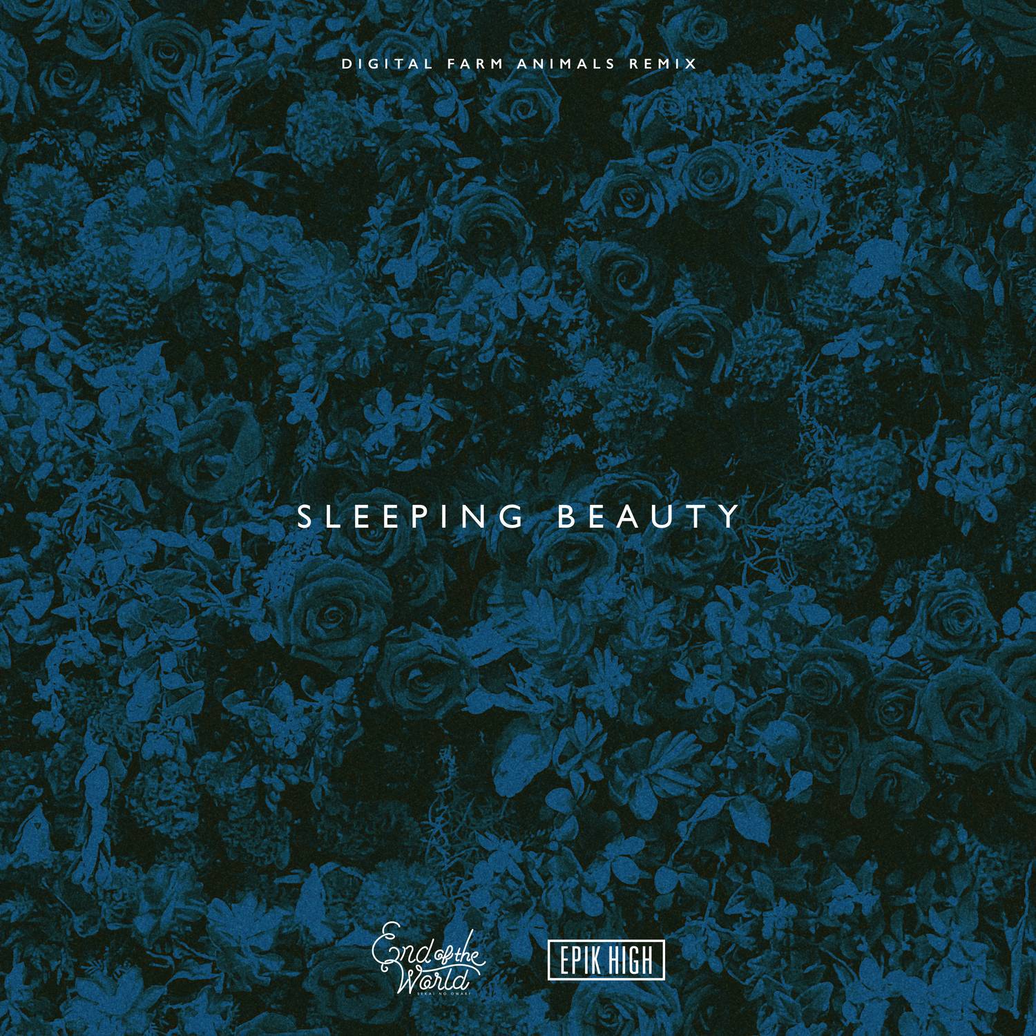 Sleeping Beauty (Digital Farm Animals Remix)专辑