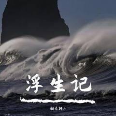 浮生记(DJ弹鼓版)