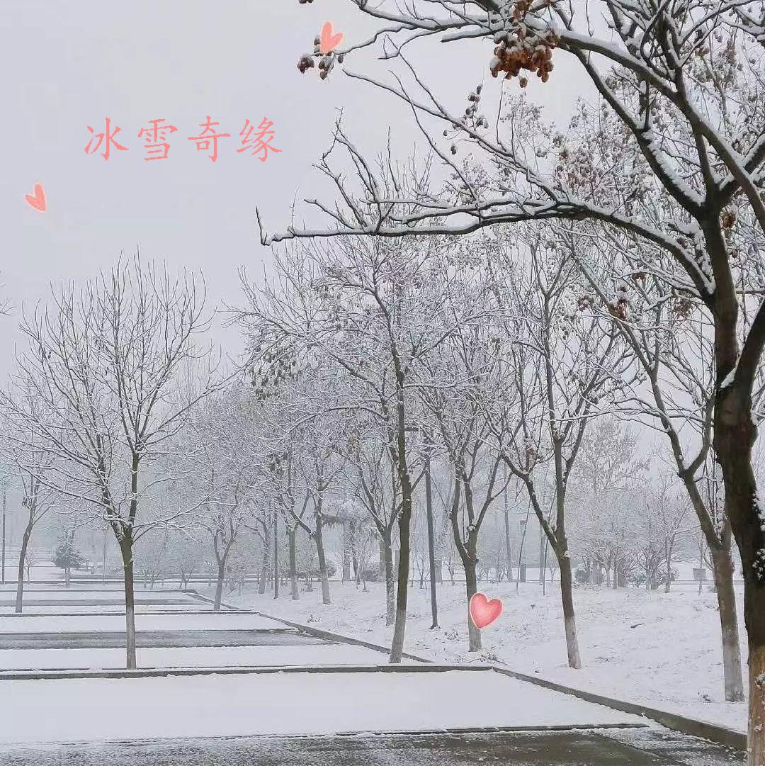 冰雪奇缘专辑