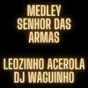 DJWAGUINHO - Medley Senhor das Armas