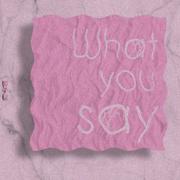 《What You Say》