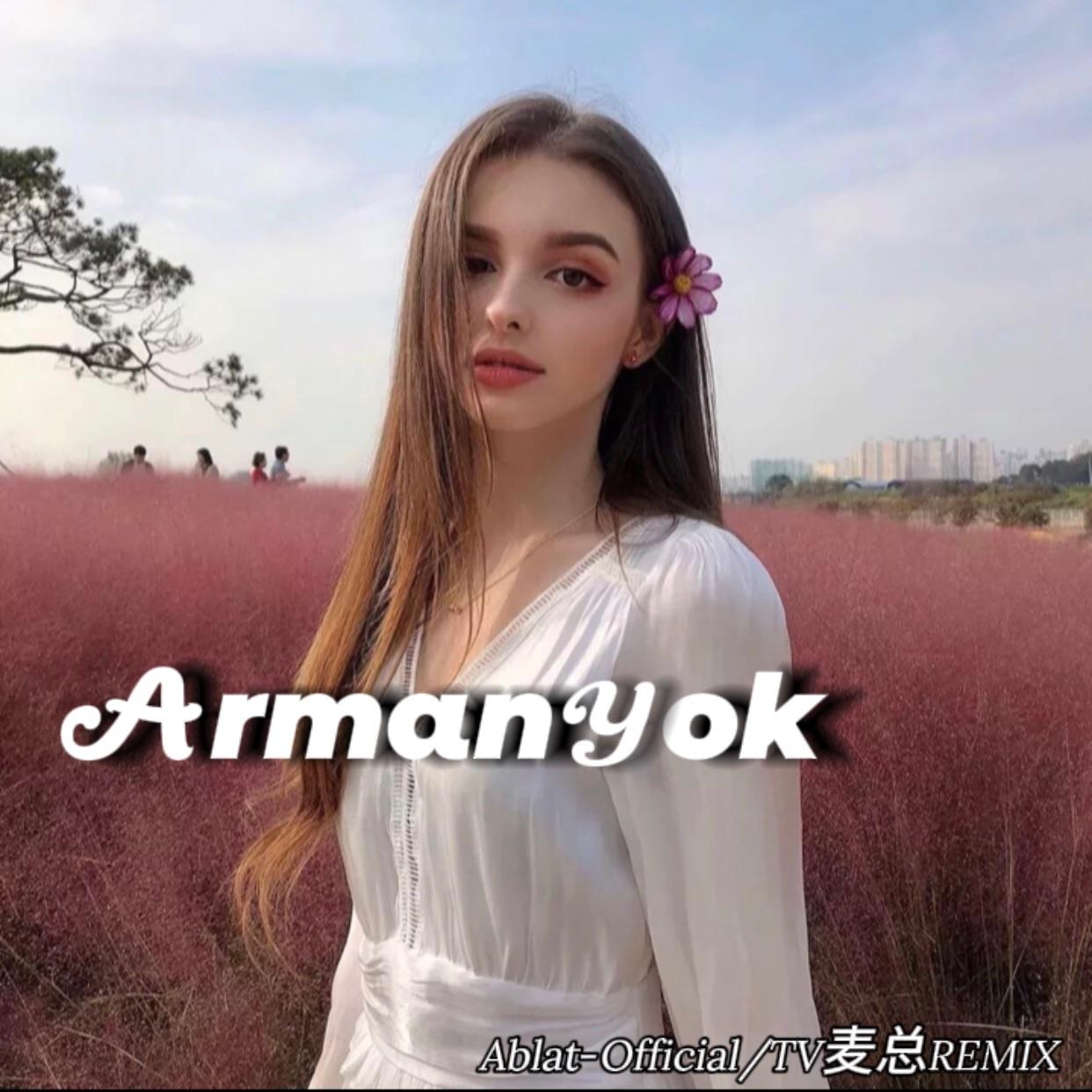 Arman Yok Remix