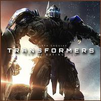 Autobots Reunite