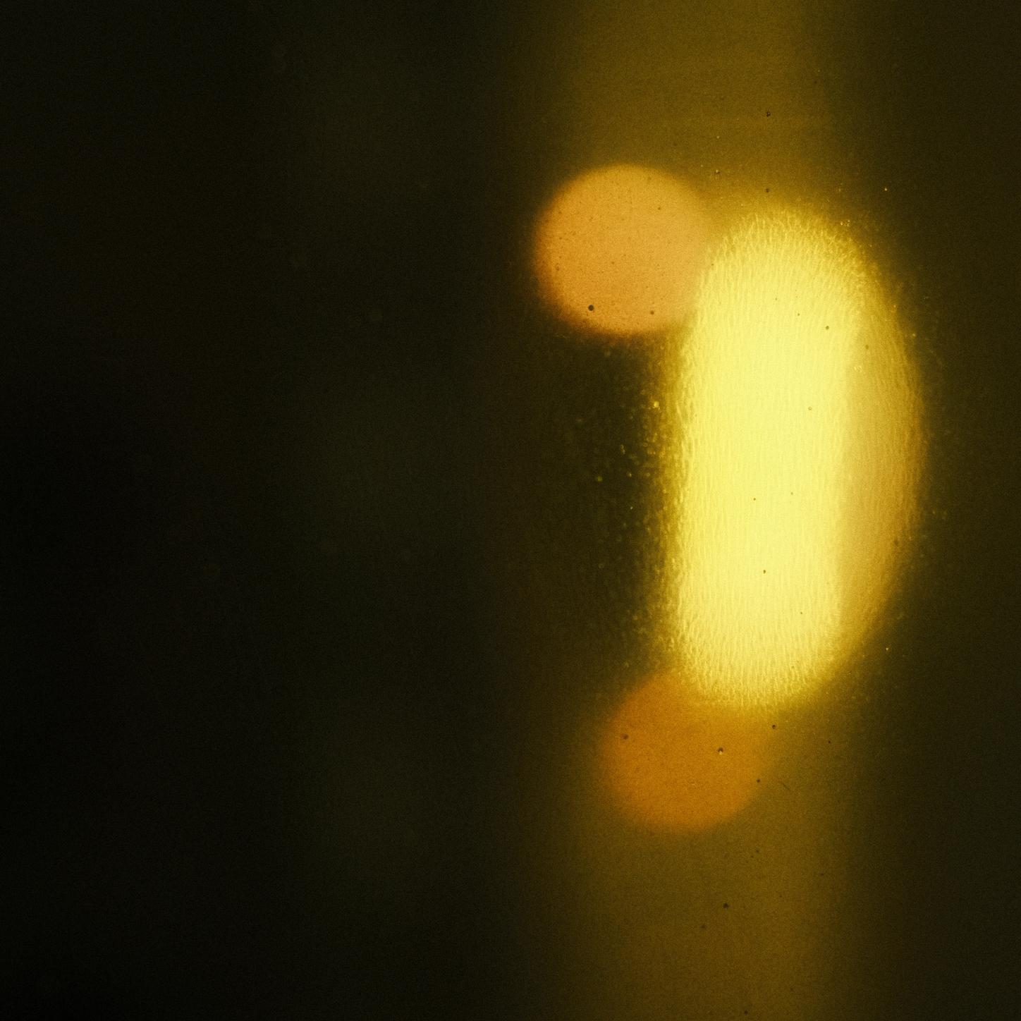 Luz