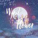 WIND FLOWER专辑