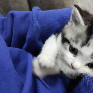 不用等你开口先说我爱你