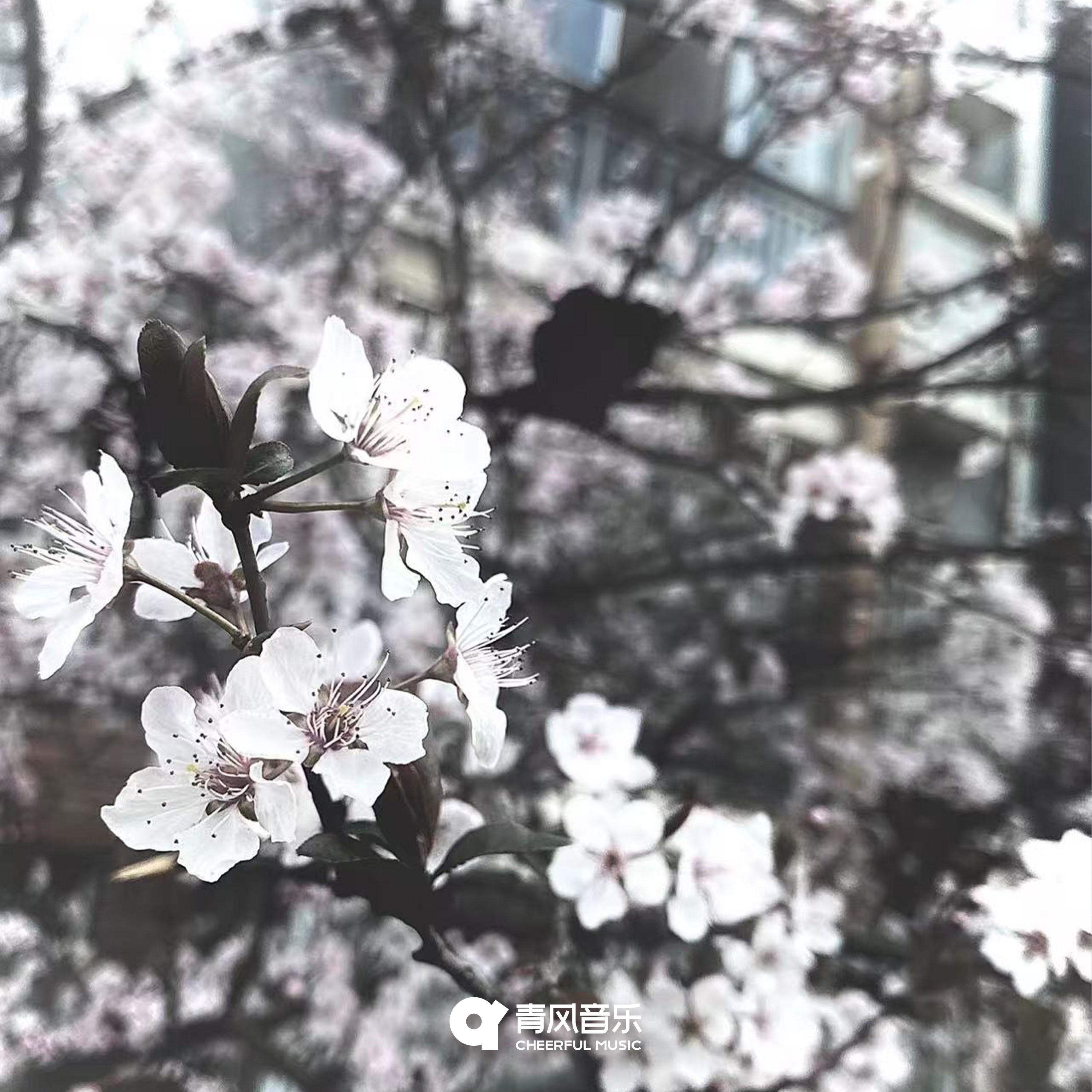打死结
