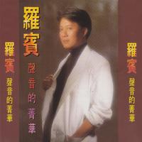 最后一声爱你(南山明哥男声伴唱)缺女声
