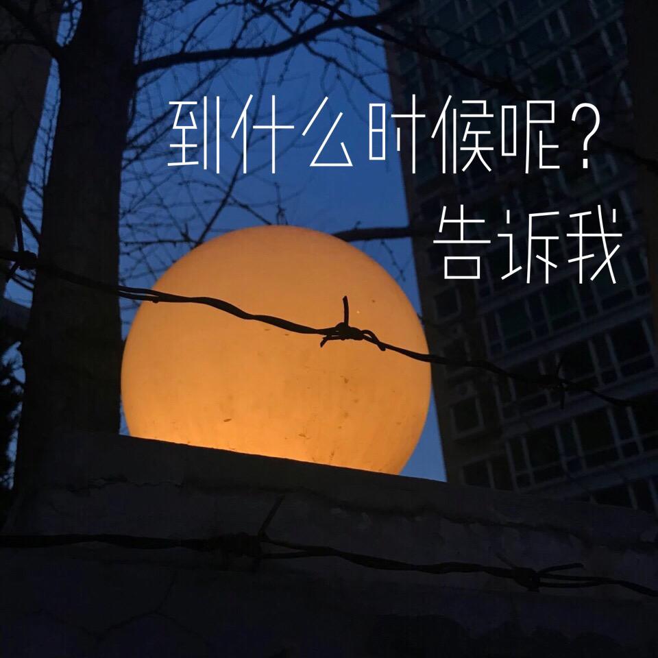 到什么时候呢？专辑