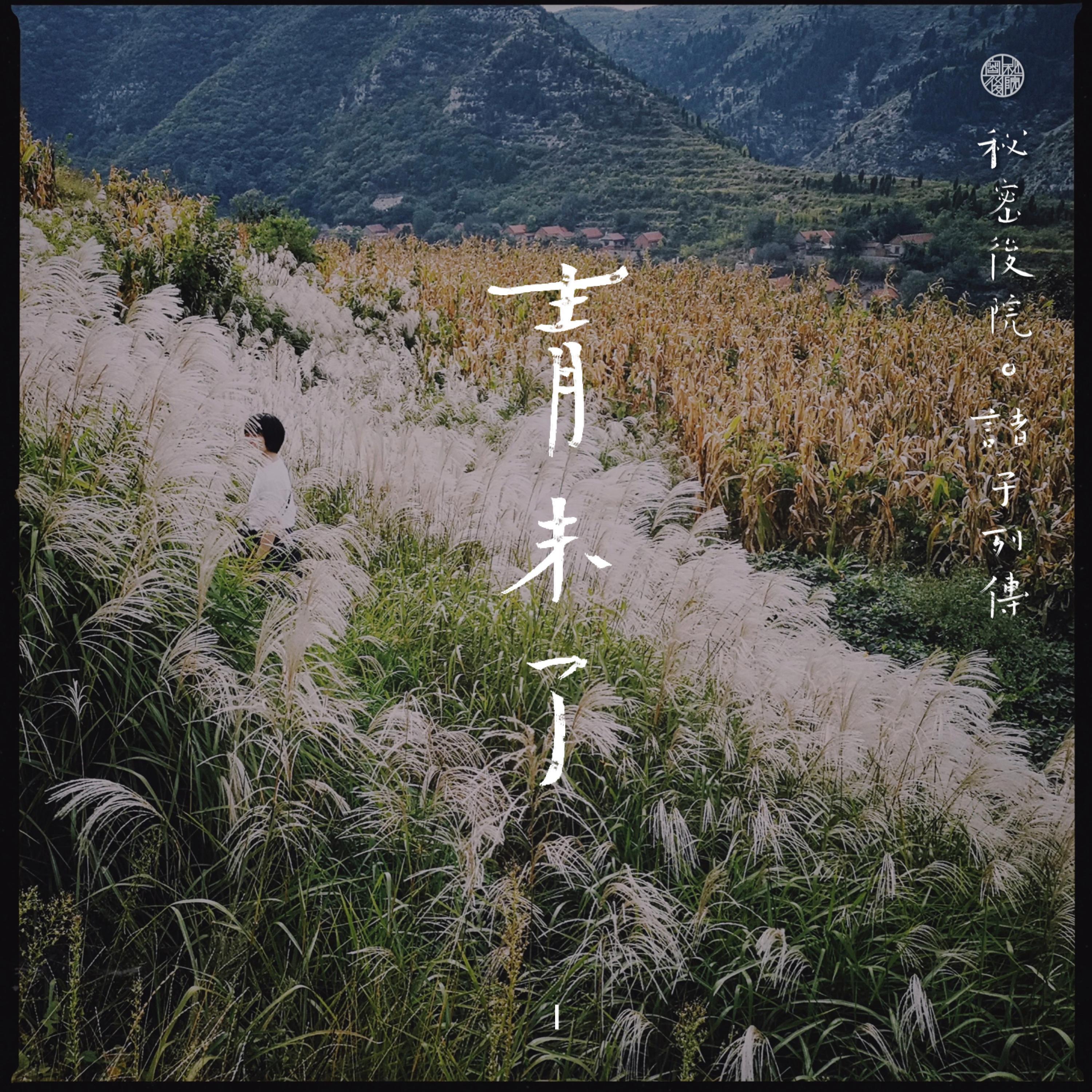 诸子列传·青未了Ⅰ