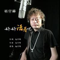 杨学峰 - 好好活着吧(原版立体声伴奏)