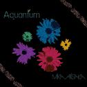 Aquantum专辑