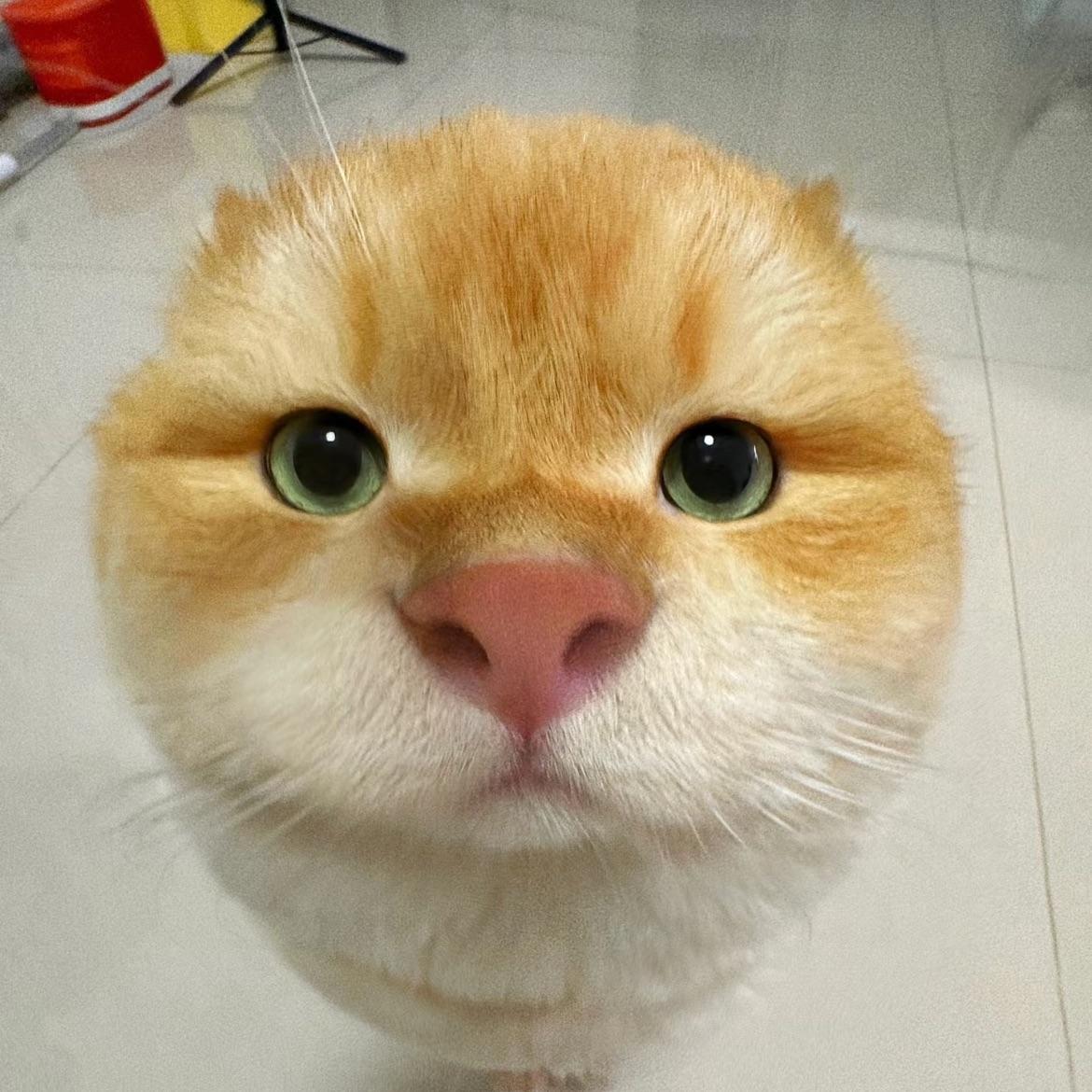 超人哈吉米