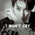 I Won't Cry