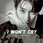 I Won't Cry专辑