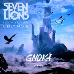 Seven Lions-Only Now（Gnoka remix）