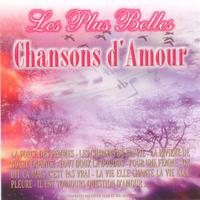 Toutes Les Femmes Sont Belles - Frank Michael(0001) (unofficial Instrumental)