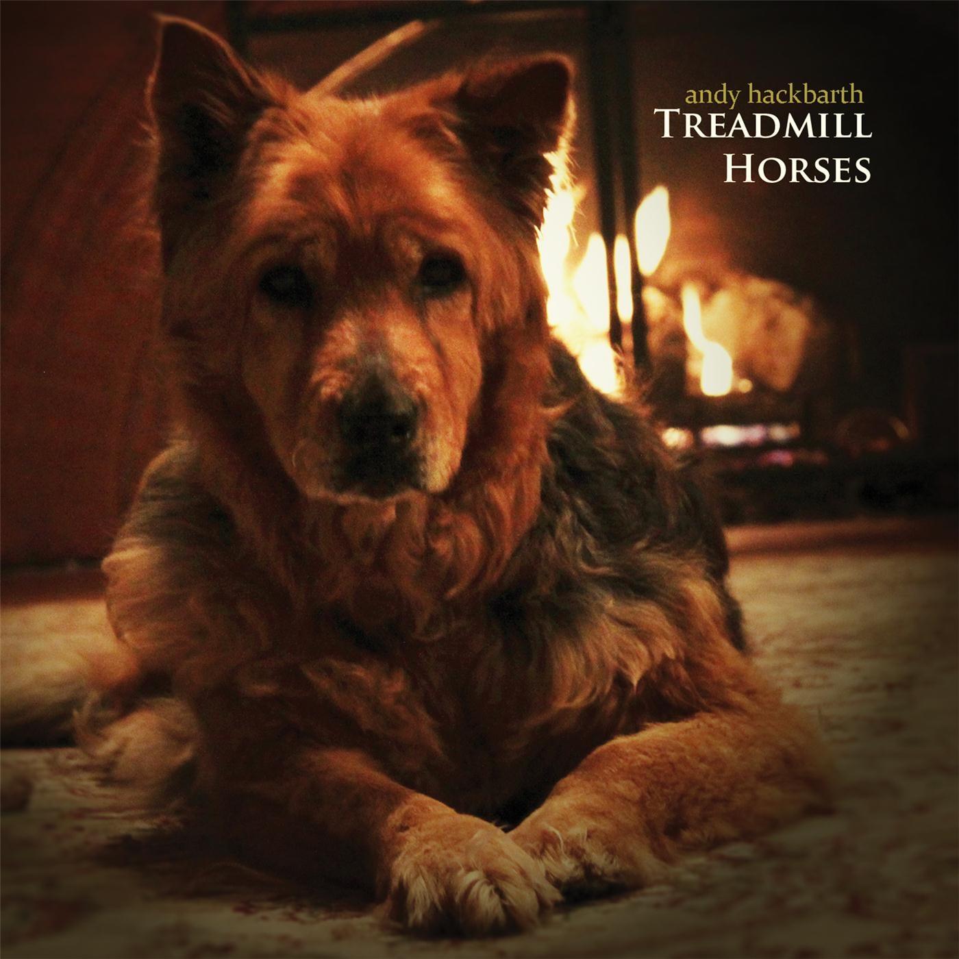 Treadmill Horses