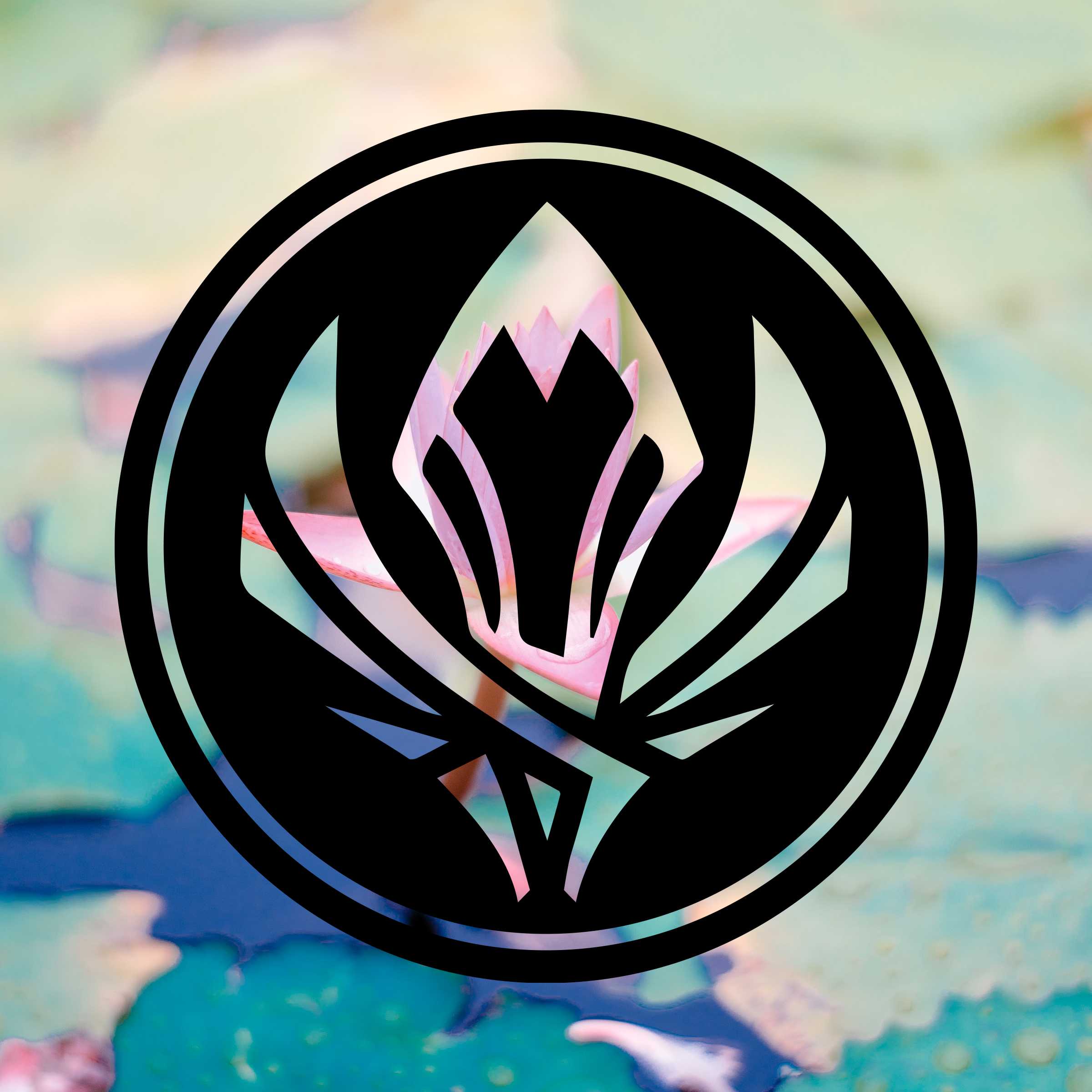 No Rule (2023英雄联盟MSI季中赛助威战歌)