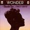 Wonder (feat. Emeli Sandé)专辑