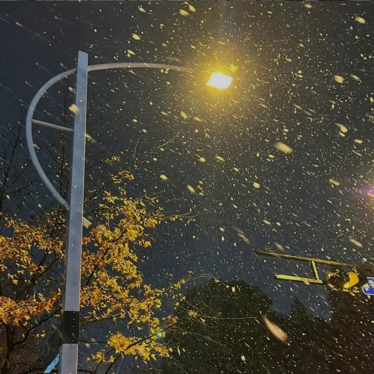 要比昨天更爱自己