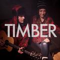 Timber (feat. Alex G) [Acoustic Version]