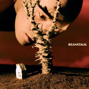黄宣-Beanstalk 无人声 纯伴奏 （升7半音）