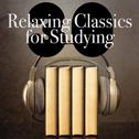 30 Relaxing Classics for Studying