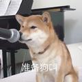 和声哦啦啦