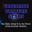 Pitbull feat. T-Pain - Hey Baby (Drop It To The Floor) (Instrumental Version)专辑