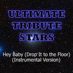 Pitbull feat. T-Pain - Hey Baby (Drop It To The Floor) (Instrumental Version)专辑