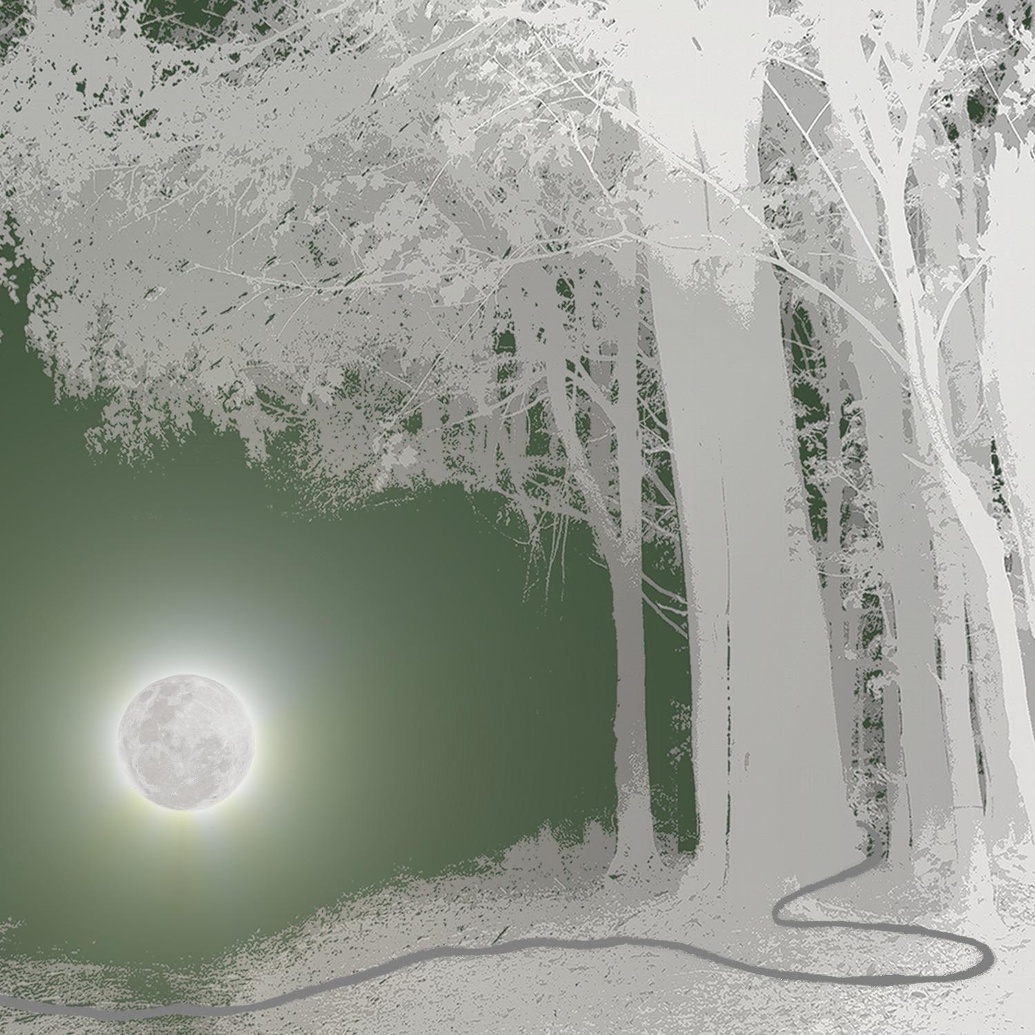 Electroforest (By Night)