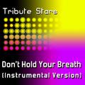 Nicole Scherzinger - Don't Hold Your Breath (Instrumental Version)