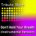 Nicole Scherzinger - Don't Hold Your Breath (Instrumental Version)专辑