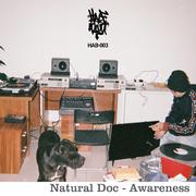 Awareness Beattape