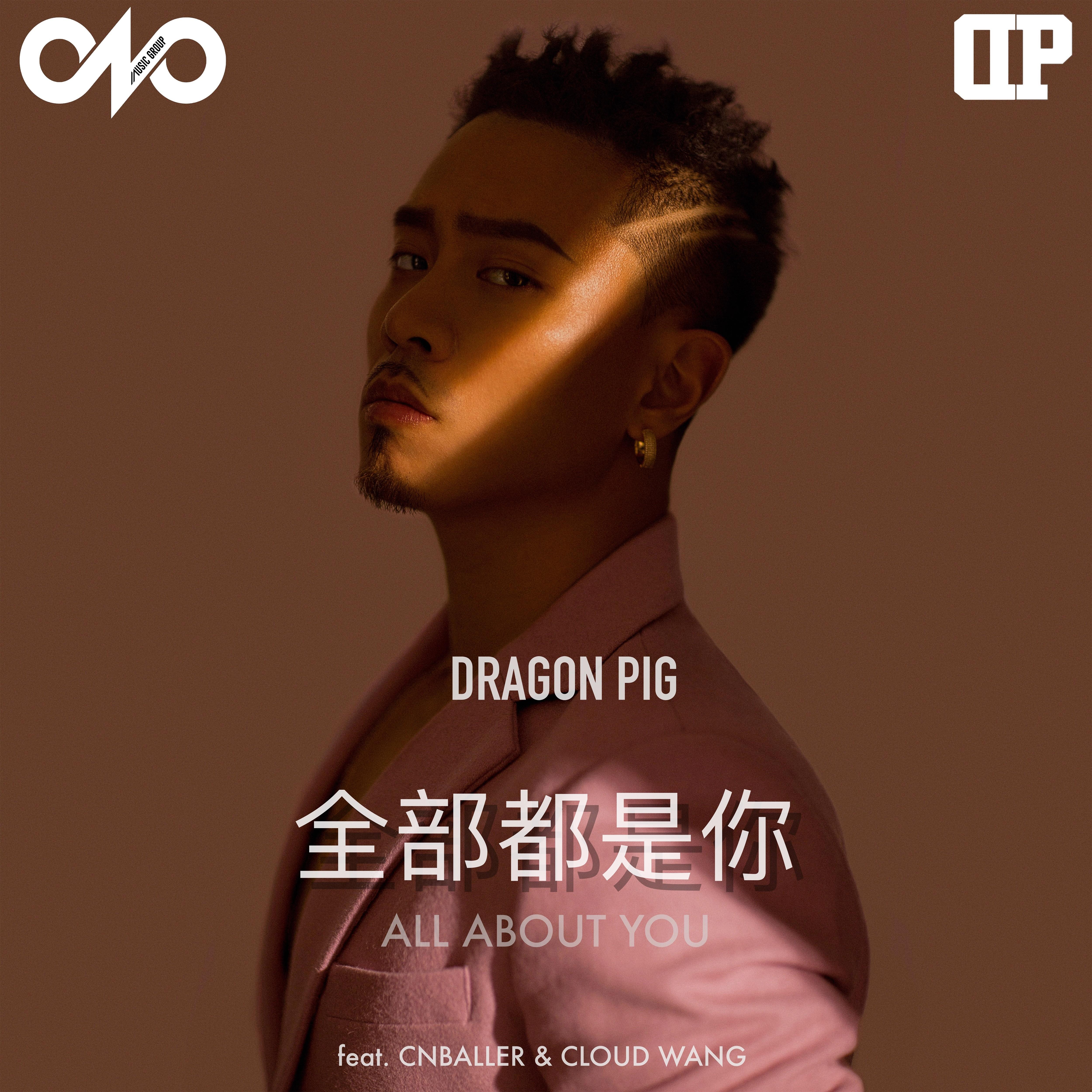 DP龙猪歌曲封面