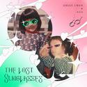 The Lost Sunglasses