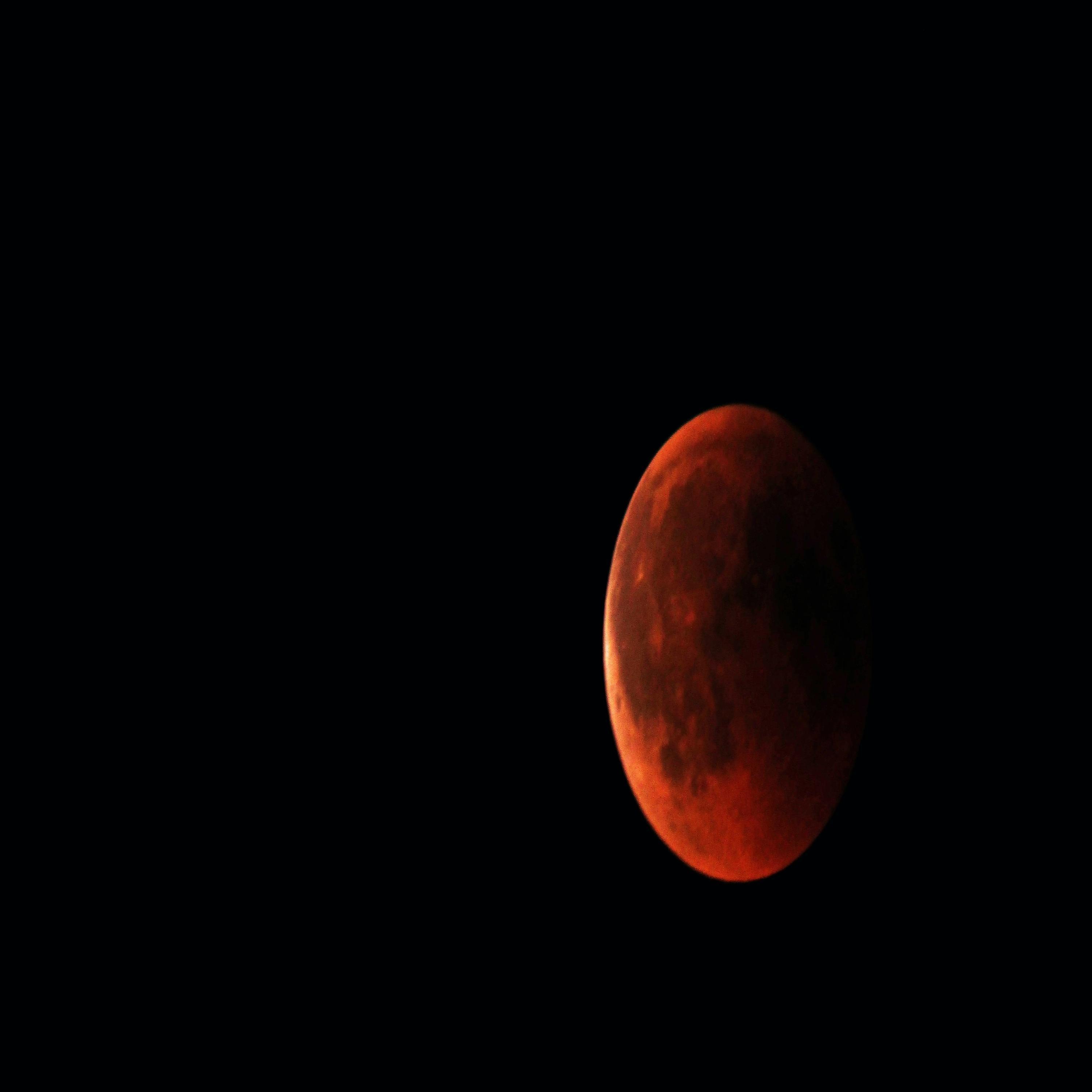 Looking For The Moon