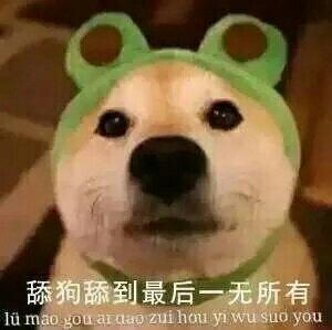 如何做一个合格的舔狗