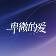 卑微的爱