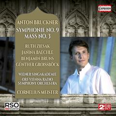 Mass No. 3 in F Minor, WAB 28:Sanctus