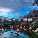 No Promises专辑