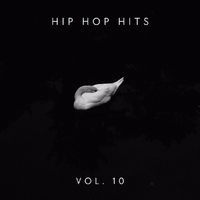 Hip Hop Hits Vol.10