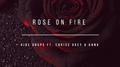 Rose on Fire专辑