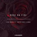 Rose on Fire