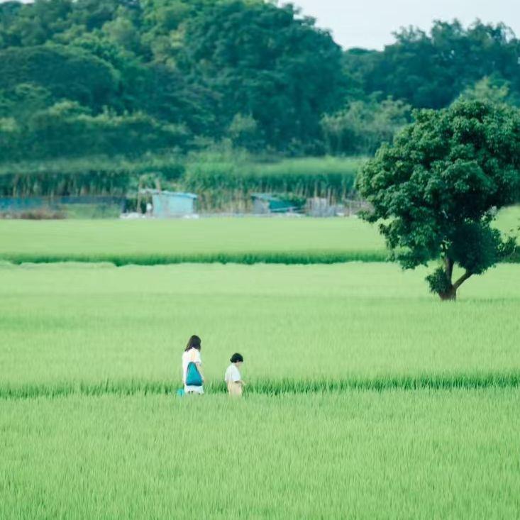 慢时光里