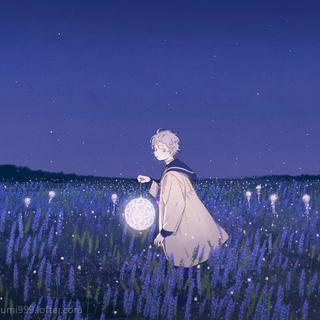 治愈轻音 || 星光璀璨 静空蝉鸣