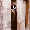 FLY